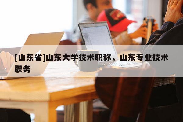 [山东省]山东大学技术职称，山东专业技术职务