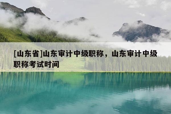 [山东省]山东审计中级职称，山东审计中级职称考试时间