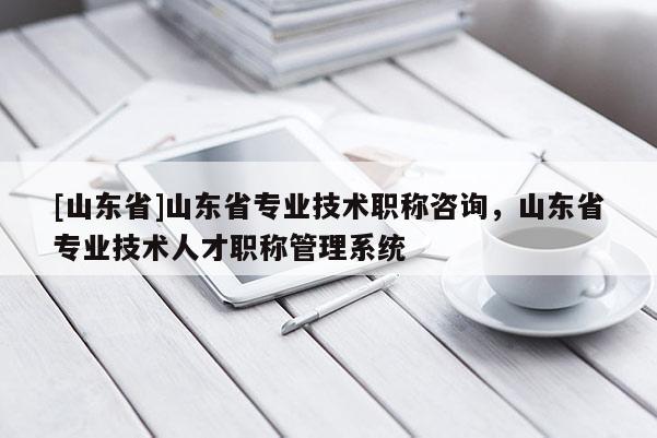 [山东省]山东省专业技术职称咨询，山东省专业技术人才职称管理系统