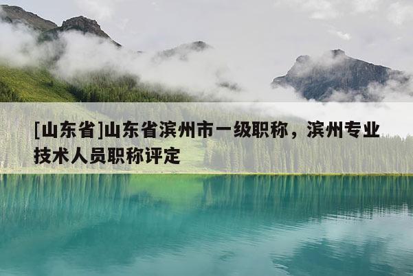 [山东省]山东省滨州市一级职称，滨州专业技术人员职称评定