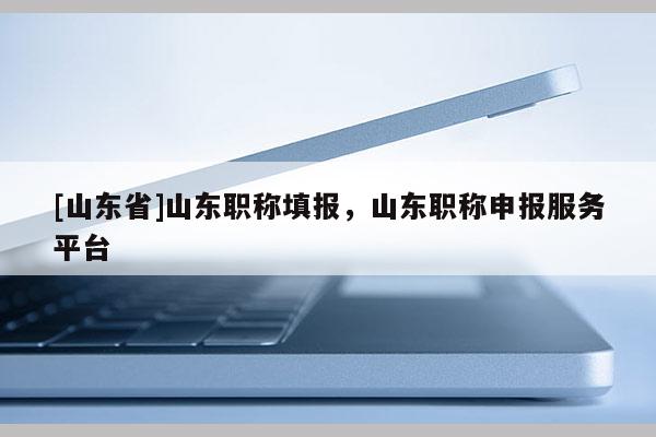 [山东省]山东职称填报，山东职称申报服务平台