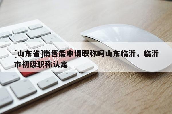 [山东省]销售能申请职称吗山东临沂，临沂市初级职称认定