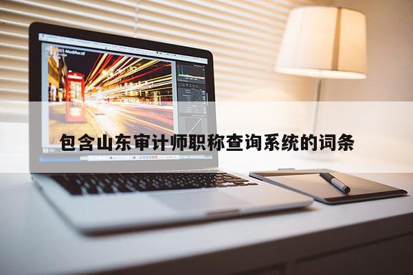 包含山东审计师职称查询系统的词条