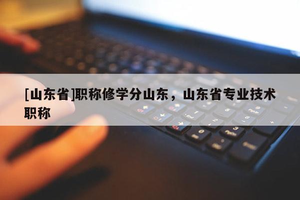 [山东省]职称修学分山东，山东省专业技术职称