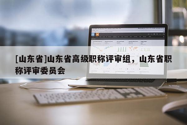 [山东省]山东省高级职称评审组，山东省职称评审委员会