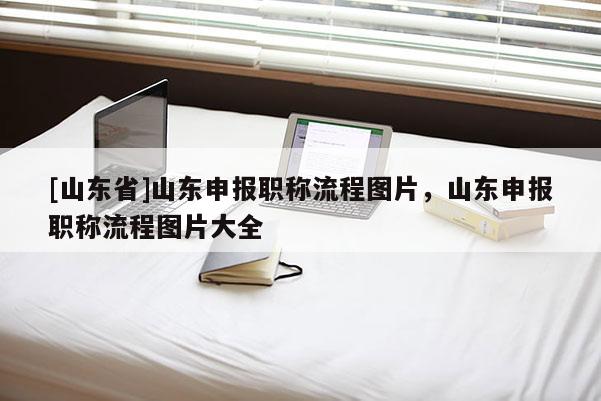 [山东省]山东申报职称流程图片，山东申报职称流程图片大全
