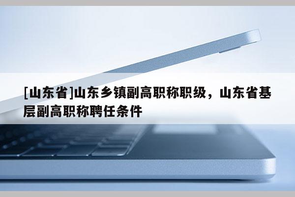 [山东省]山东乡镇副高职称职级，山东省基层副高职称聘任条件