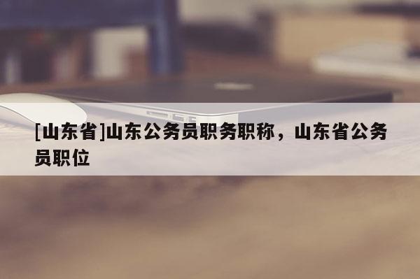 [山东省]山东公务员职务职称，山东省公务员职位