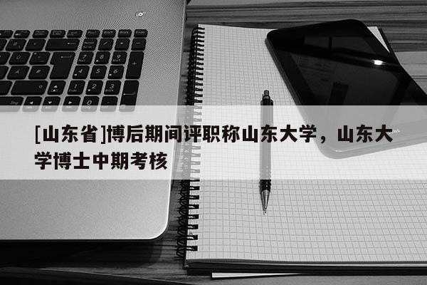 [山东省]博后期间评职称山东大学，山东大学博士中期考核