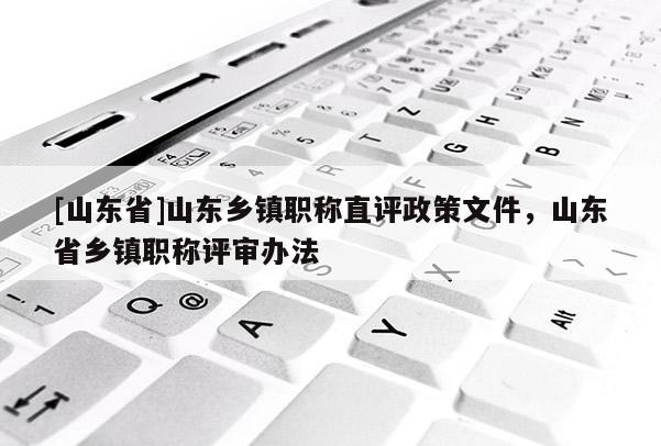 [山东省]山东乡镇职称直评政策文件，山东省乡镇职称评审办法