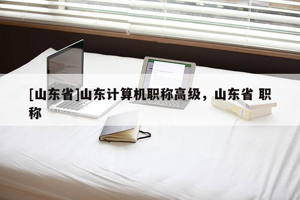 [山东省]山东计算机职称高级，山东省 职称