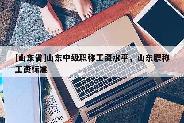 [山东省]山东中级职称工资水平，山东职称工资标准