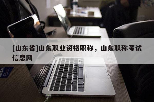 [山东省]山东职业资格职称，山东职称考试信息网
