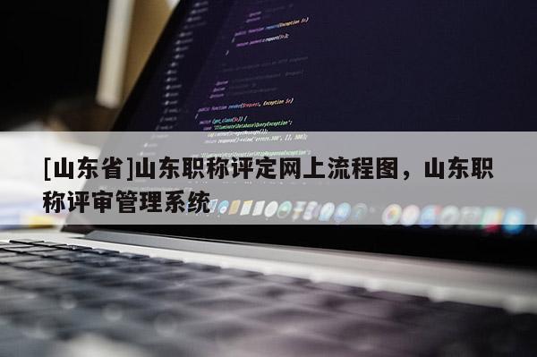 [山东省]山东职称评定网上流程图，山东职称评审管理系统