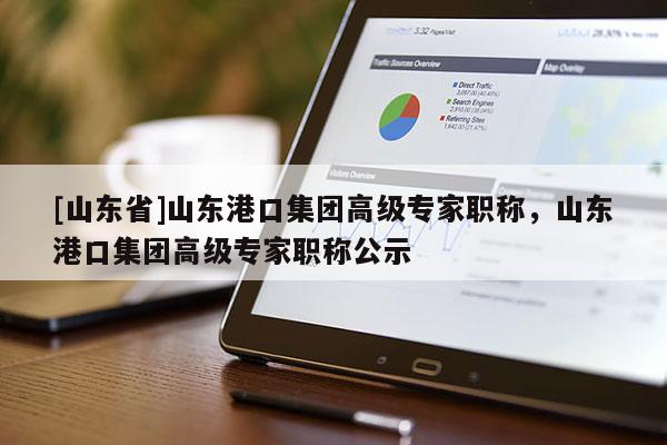 [山东省]山东港口集团高级专家职称，山东港口集团高级专家职称公示