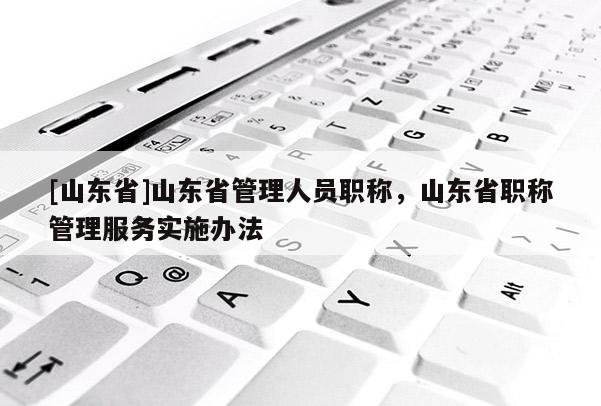 [山东省]山东省管理人员职称，山东省职称管理服务实施办法