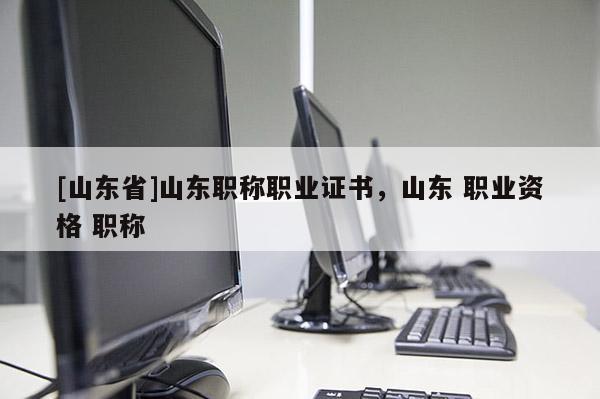 [山东省]山东职称职业证书，山东 职业资格 职称