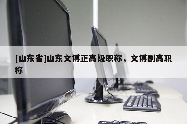 [山东省]山东文博正高级职称，文博副高职称