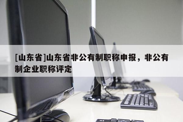 [山东省]山东省非公有制职称申报，非公有制企业职称评定